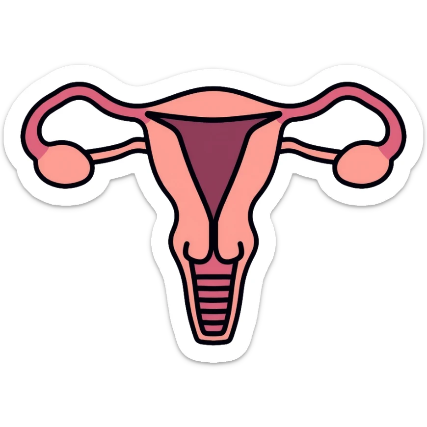 simple medical diagram of male reproductive anatomy, tasteful, anatomical sticker