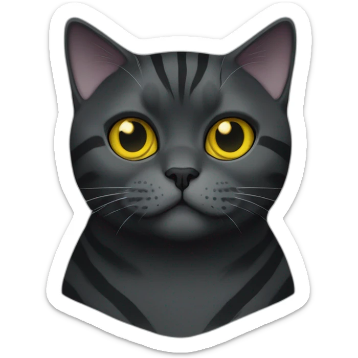 british shorthair cat in the Color black with black smoke stripes with yellow eyes sticker