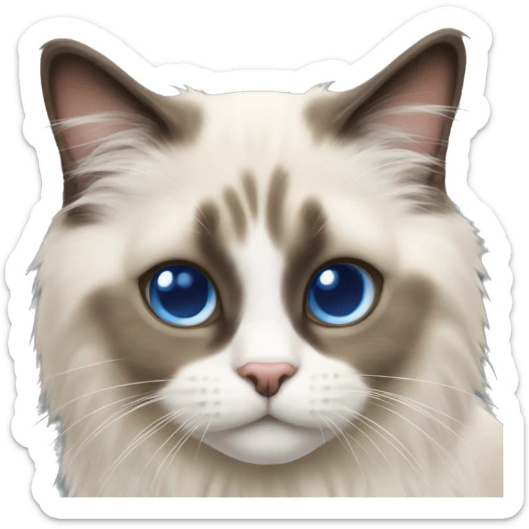 Ragdoll cat sticker