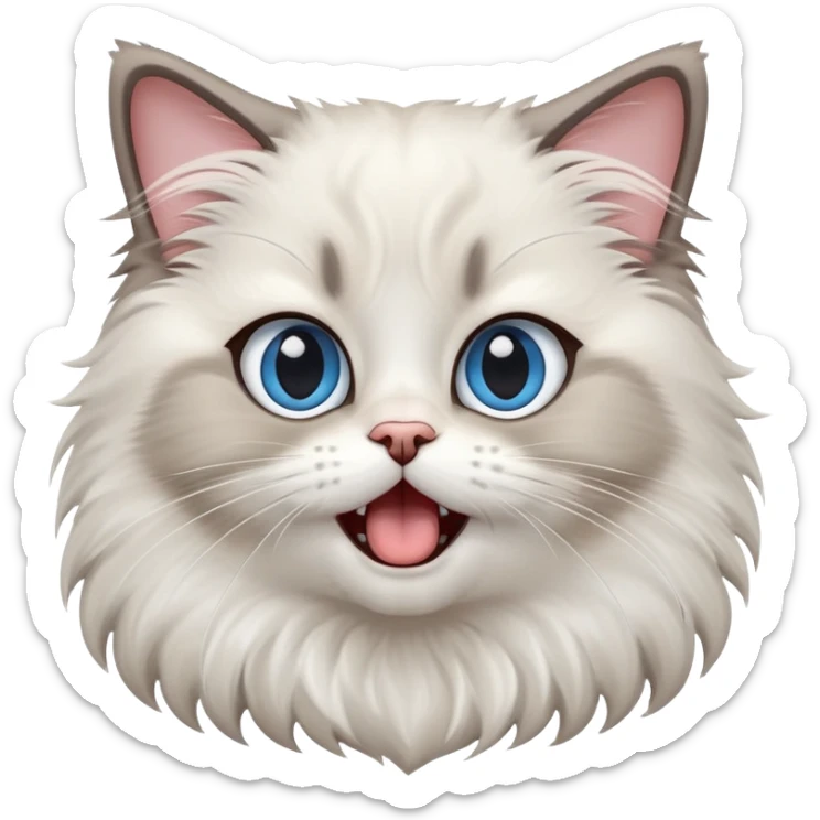 cinematic-adorable-big-eyed-fluffy-ragdoll-cat-portrait-emoji,-head-tilted-playfully-with-a-cute,-exaggerated-yawn,-white and grey fur,-simplified-yet-irresistibly-cute-features, blue eyes sticker