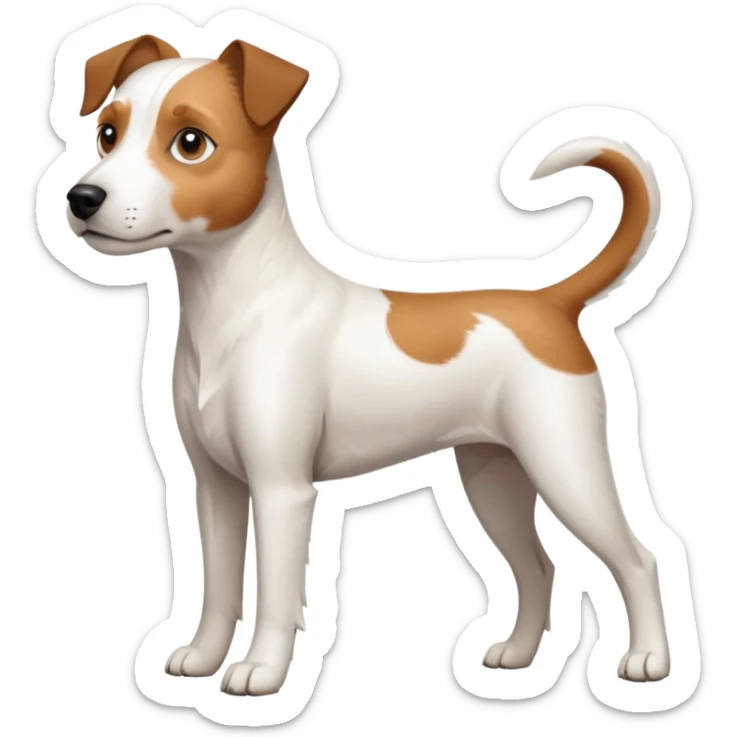 a full body large white parson russell terrier looking dog the size of a kelpie with light brown long ears and a light brown patch on one eye and a large snout sticker
