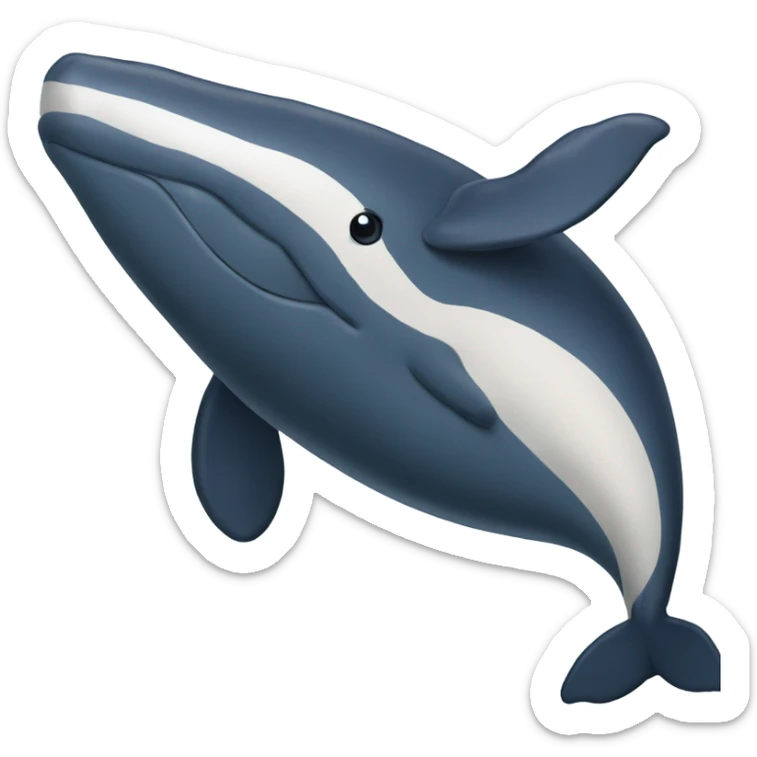 Whale sticker