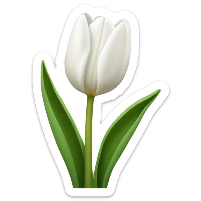 White tulips sticker