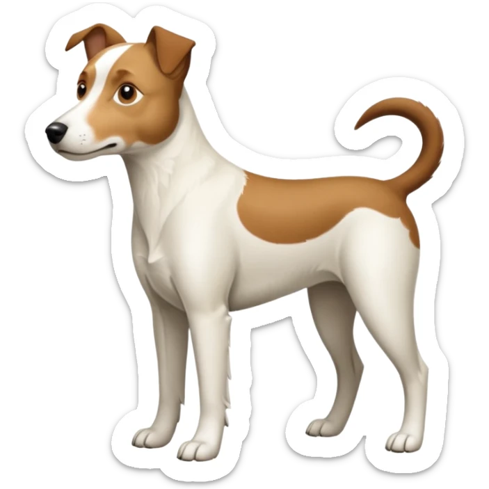 a full body large white parson russell looking dog the size of a kelpie with light brown flapped down ears and a light brown patch on one eye and a large snout sticker