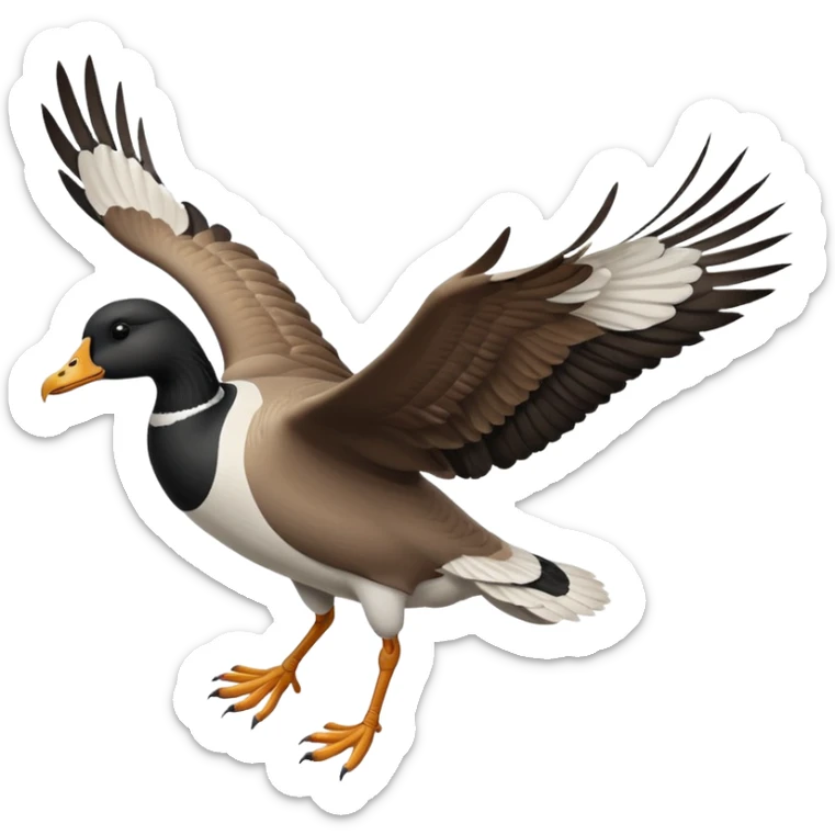 wild goose in flight, with black neck, black feet, brown wings, black-and-white head, white belly sticker