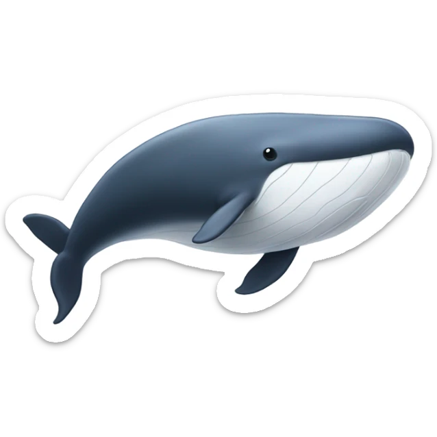 white whale , underside sticker