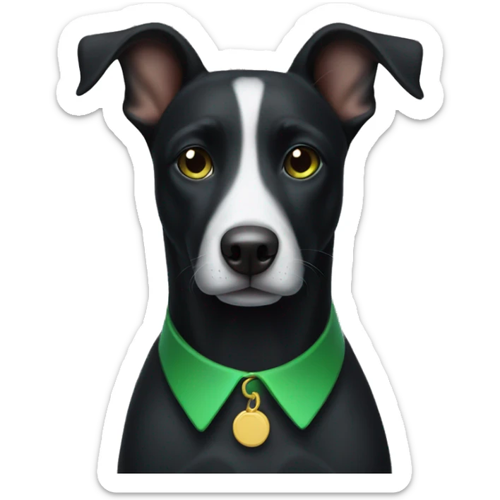 black dog with a white spot on the chest and a green collar sticker