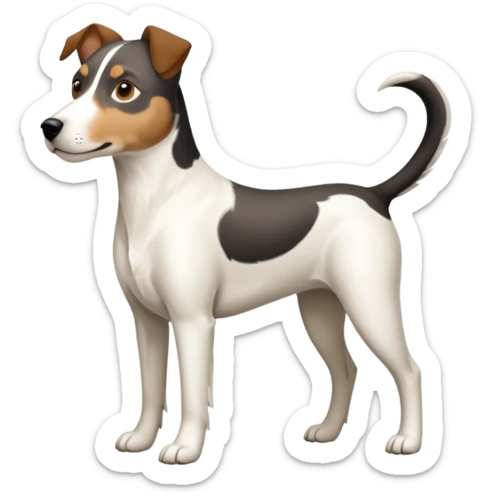 a full body large white parson russell looking dog the size of a kelpie with light brown ears and a light brown patch on one eye and a large snout sticker