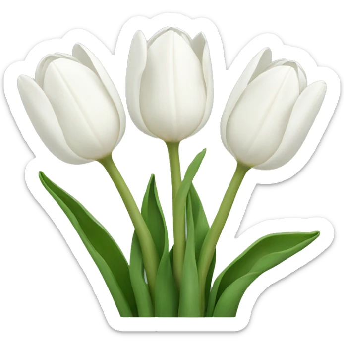 White tulips sticker