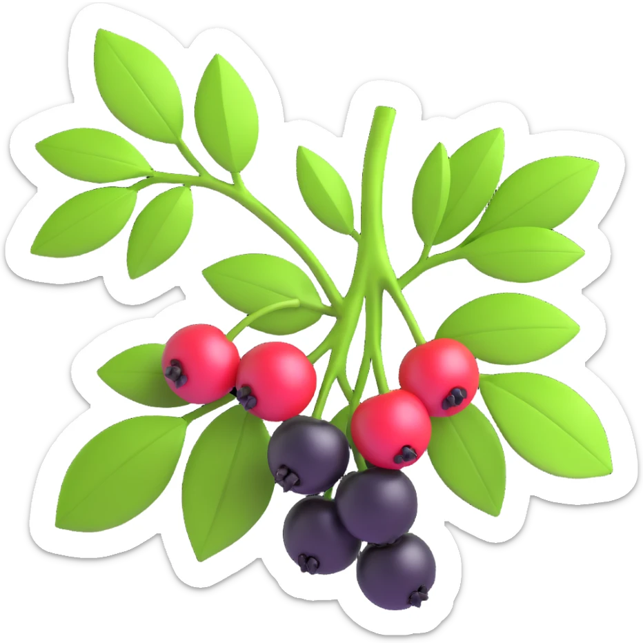 Redraw the cherry branch with black berries and green leaves in a modern 3D iOS style. Add volume, expressive light and shadow, and a clean background. sticker