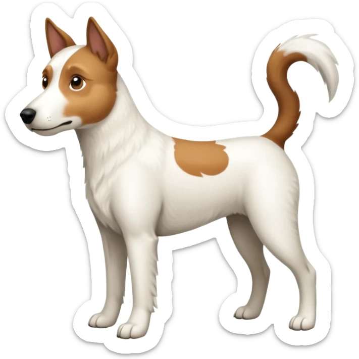 a full body large white parson russell looking dog the size of a kelpie with light brown ears and a light brown patch on one eye and a large snout sticker