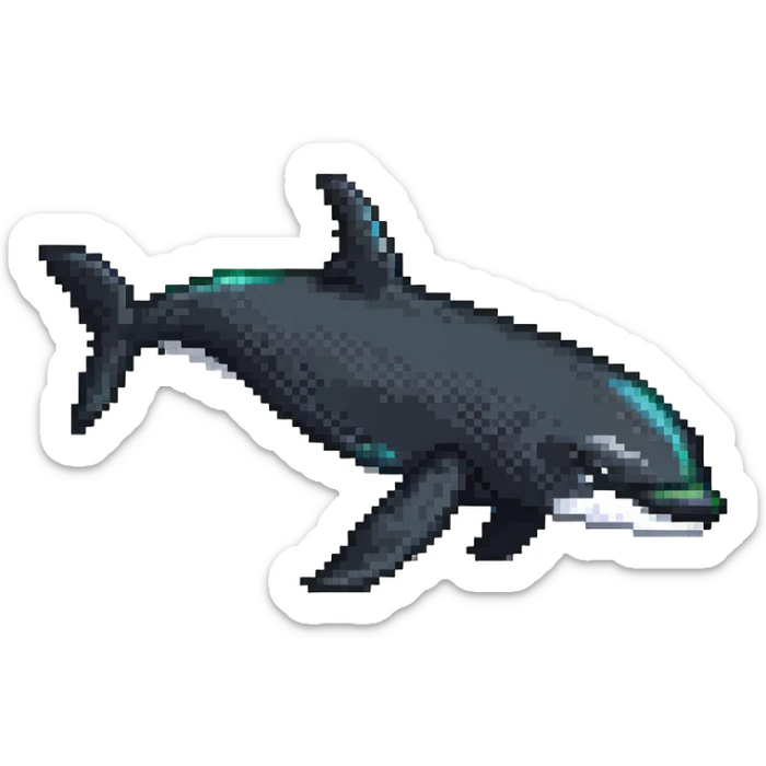 orca whale sticker