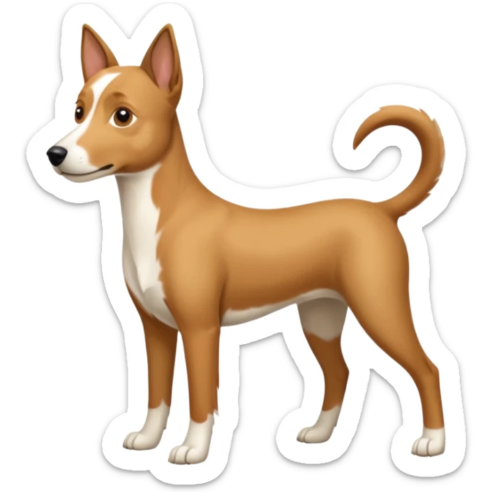a full body white parsel russell looking dog the size of a kelpie with light brown ears and a light brown patch on one eye and a large snout sticker