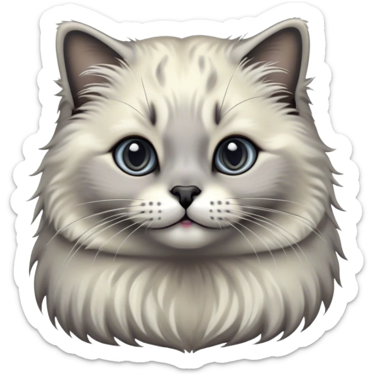 Cinematic Adorable Fluffy Grey Seal Ragdoll Cat Portrait Emoji, Head tilted cutely with big, sparkling eyes, soft grey fur with darker seal points on the ears, face, and paws, Simplified yet irresistibly adorable features, highly detailed, glowing with a soft, warm glow, high shine, affectionate and playful, stylized with a touch of whimsy, bright and endearing, soft glowing outline, capturing the essence of a curious and loving kitten, so cute it feels like it could leap out of the screen and snuggle up for a cuddle! sticker