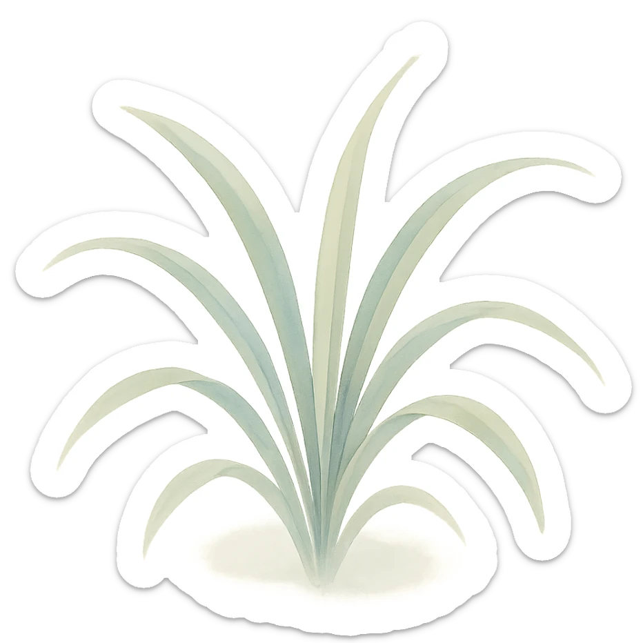 a small cluster of spider plant leaves, watercolor style, delicate brush strokes, soft colors sticker