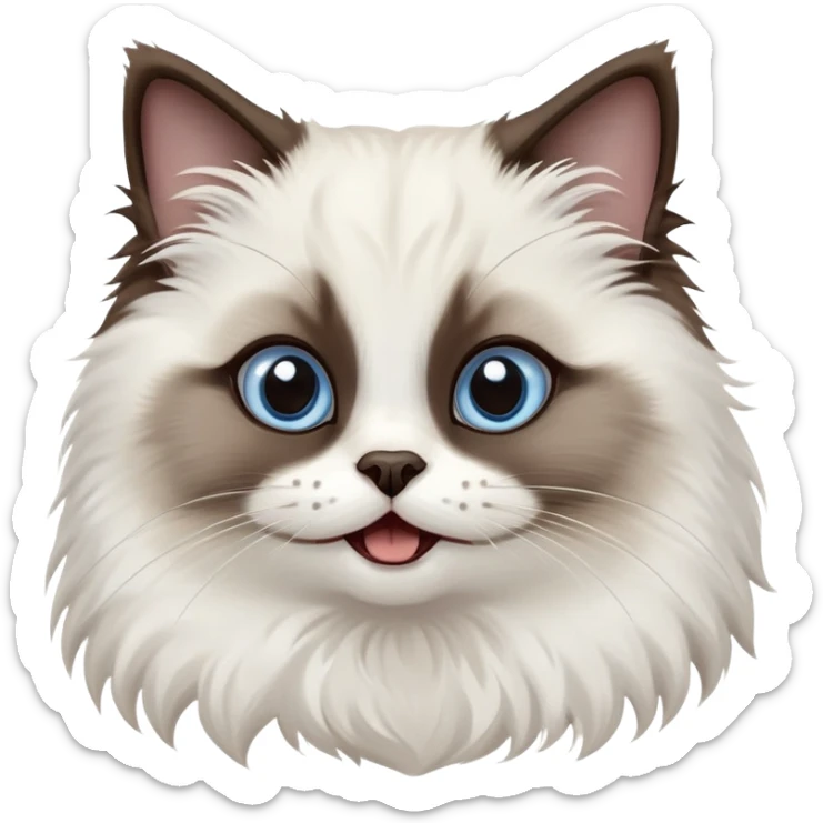 cinematic-adorable-big-eyed-fluffy-dark brown and white seal ragdoll-cat-portrait-emoji,-head-tilted-playfully-with-a-cute,-yawn,-soft-brown pointed seal-and white-colored-fur-with-darker-points-on-the-ears,-simplified-yet-irresistibly-cute-features, sparkling blue eyes sticker
