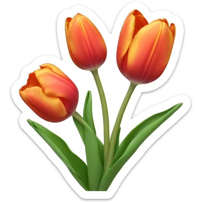 Tulip sticker