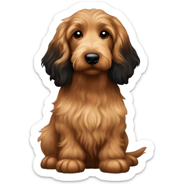 Brown golden doodle and black and tan and cream longhair dachshund sitting together  sticker