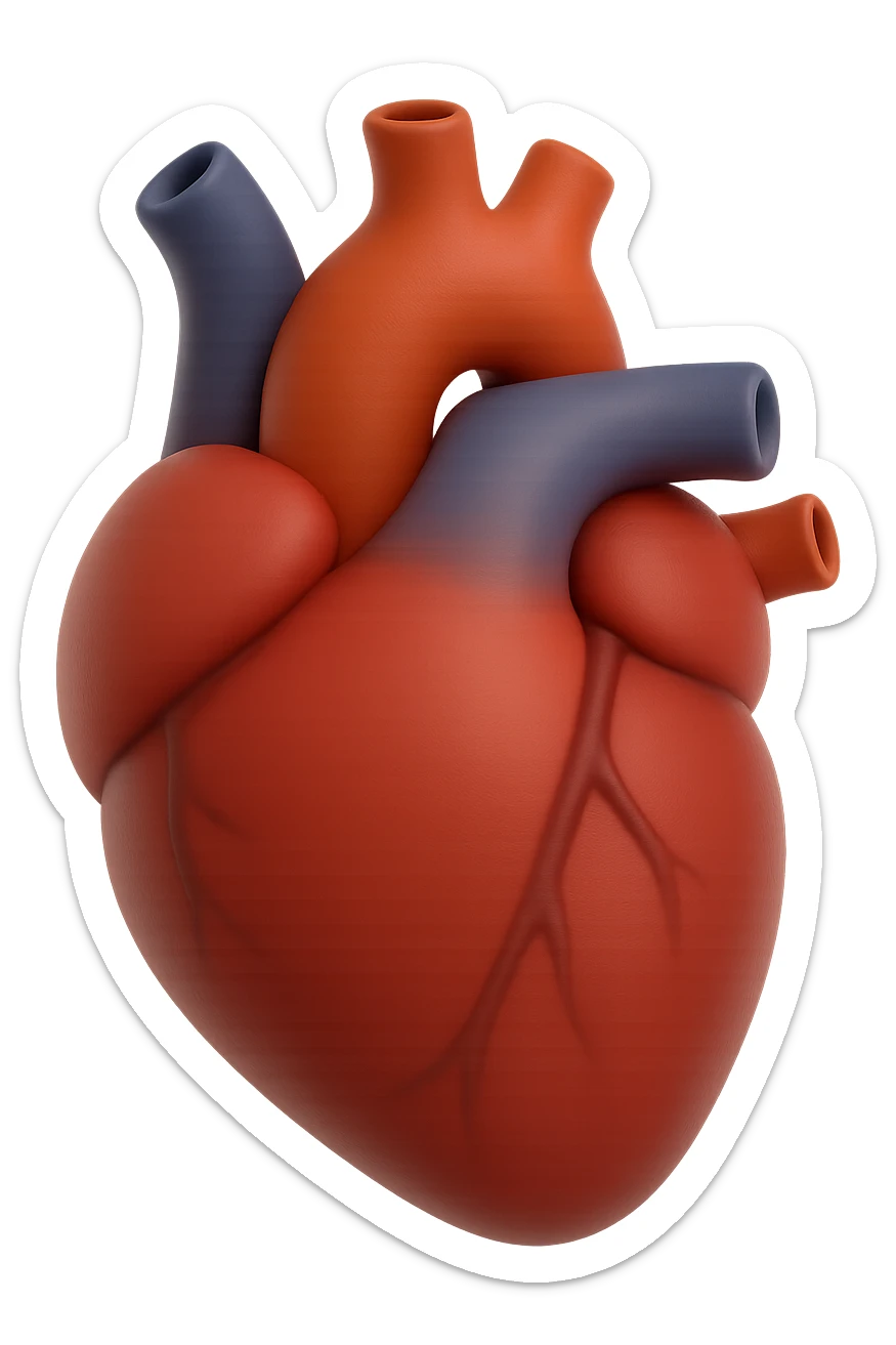 emoji 3d stile iphone di cuore anatomico umano sticker
