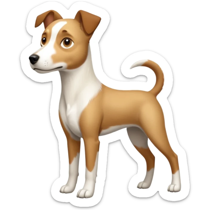 a full body large white parson russell looking dog the size of a kelpie with light brown flapped down ears and a light brown patch on one eye and a large snout sticker