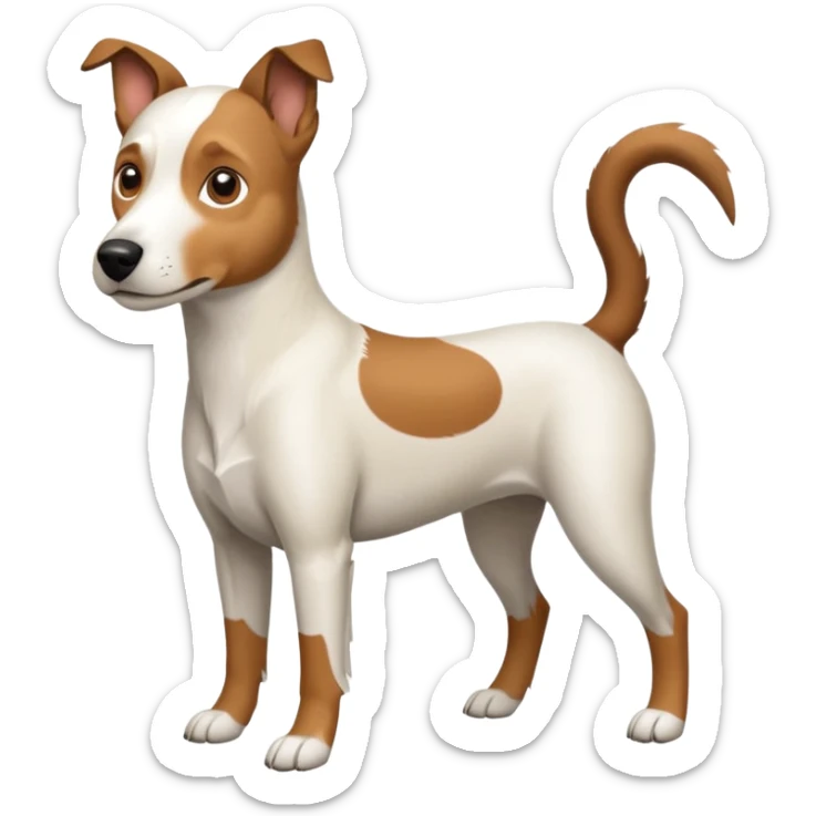a full body large white parson russell looking dog the size of a kelpie with light brown flapped down ears and a light brown patch on one eye and a large snout sticker
