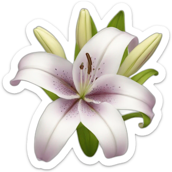 lily sticker