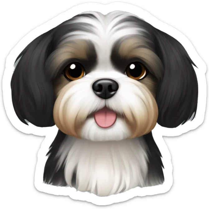 black and tan shih tzu maltese mix, black head fur, no white fur sticker