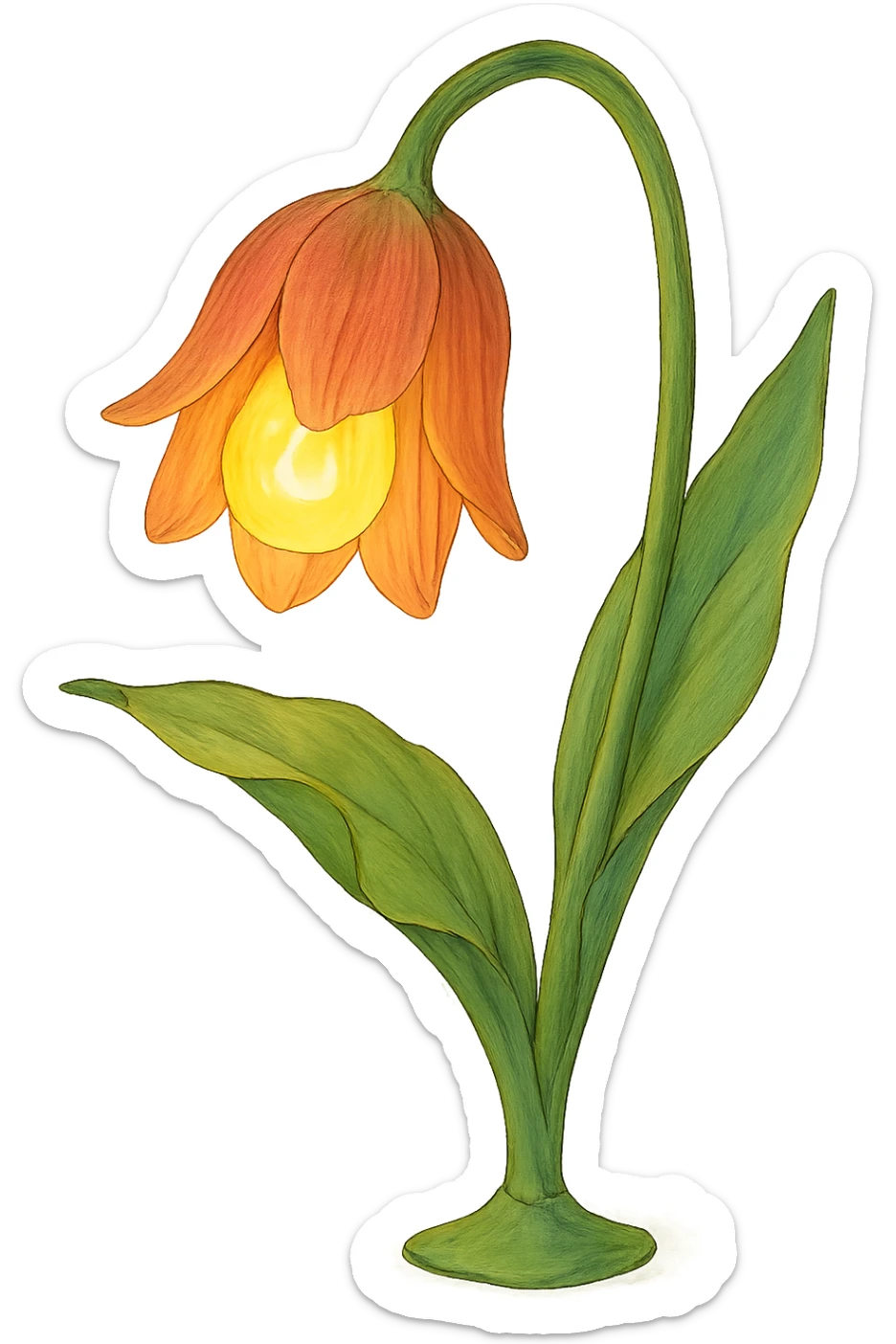a lamp made out of a tulip flower, the bulb in the flower, drooping over, natural colors, soft, fairy-like atmosphere, no background sticker