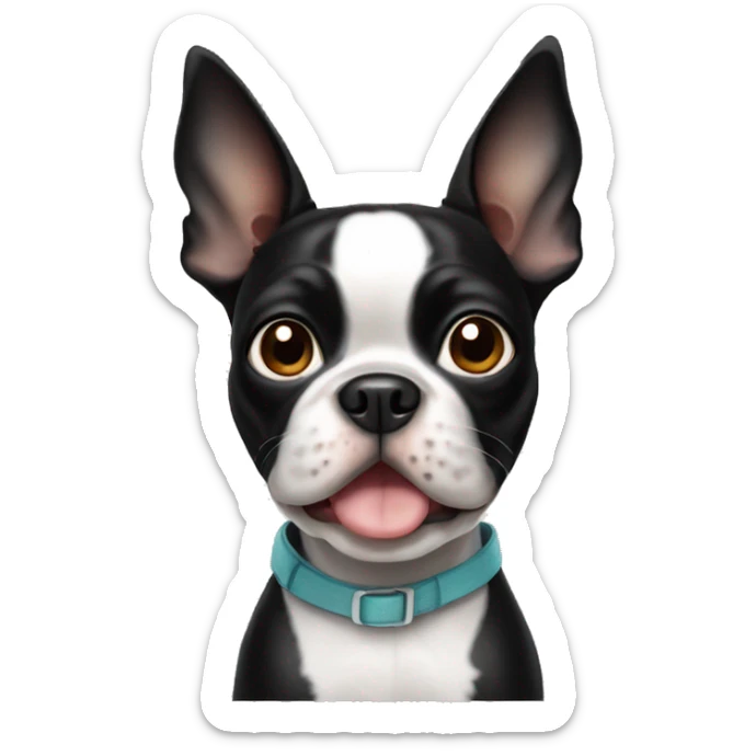 Boston terrier sticker