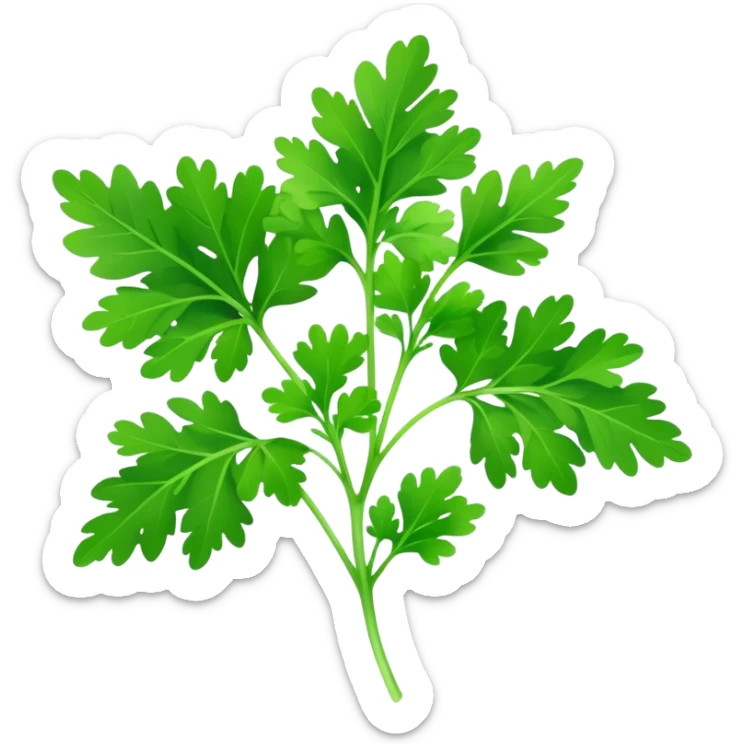Cinematic Realistic Parsley Emoji, Fresh and vibrant, with bright green, frilly leaves that seem to shimmer with vitality. The plant exudes a sense of healthy growth and aromatic zest, inviting both beauty and flavor into any dish. Soft glowing outline, capturing the essence of freshness, health, and culinary delight in a sprig of parsley! sticker