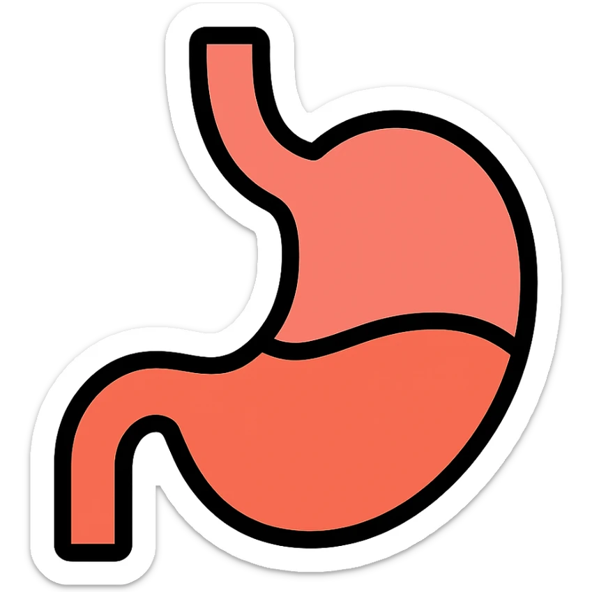 medical illustration of an empty stomach icon with color outline sticker