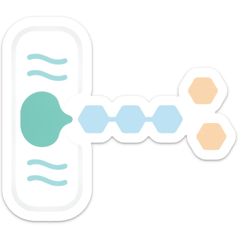 Ultra-detailed illustration of enzyme digestion: amylase breaking starch into sugars near a cell membrane. Clean white background, no text. Scientific but simple sticker