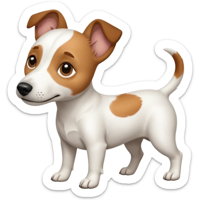 a full body white jack russel looking dog the size of a kelpie with light brown ears and a light brown patch on one eye, flopped down ears and a large snout sticker