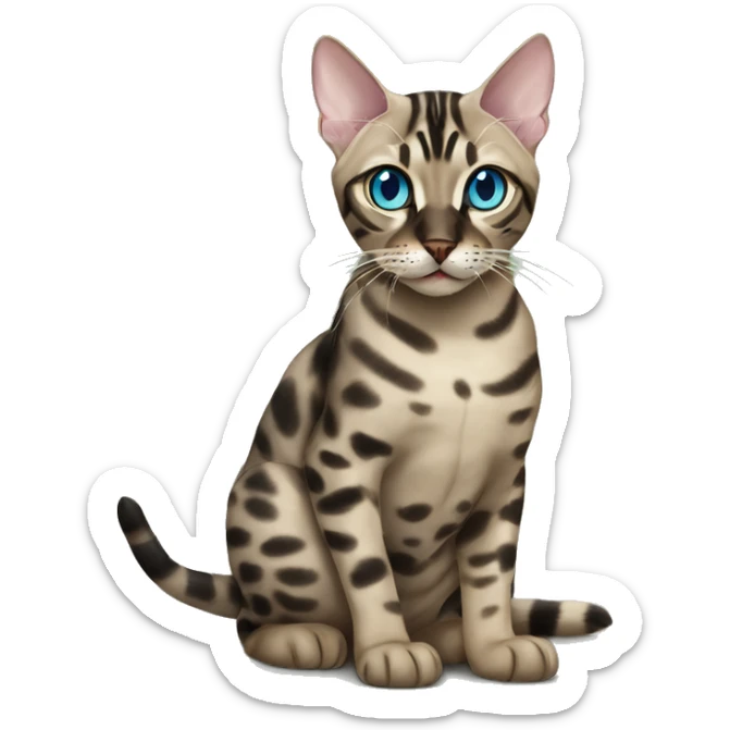 Seal Bengal CAT with Blue eyes with a charcoal Sepia bengal cat with Green eyes sitting  sticker