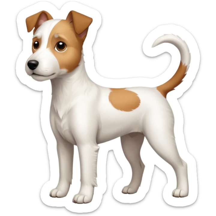 a full body large white parson russell terrier looking dog the size of a kelpie with light brown big ears and a light brown patch on one eye and a large snout sticker