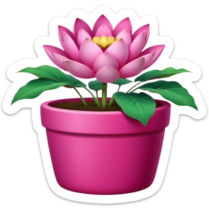 Decorative fuchsia-colored flower pot with a lotus flower plant; the pot is shallow sticker