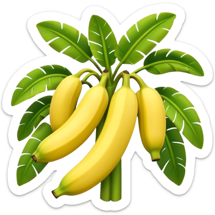 A 3D cartoon banana plant with large green leaves and a bunch of bananas growing downward, natural lighting, Memoji-style. sticker