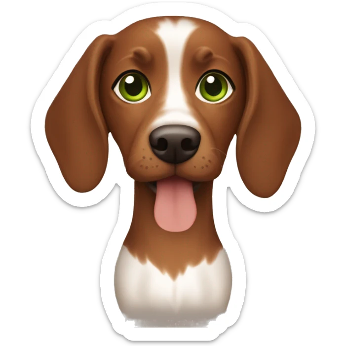 Lebanese with green eyes and brown hair holding a brown teckel sticker