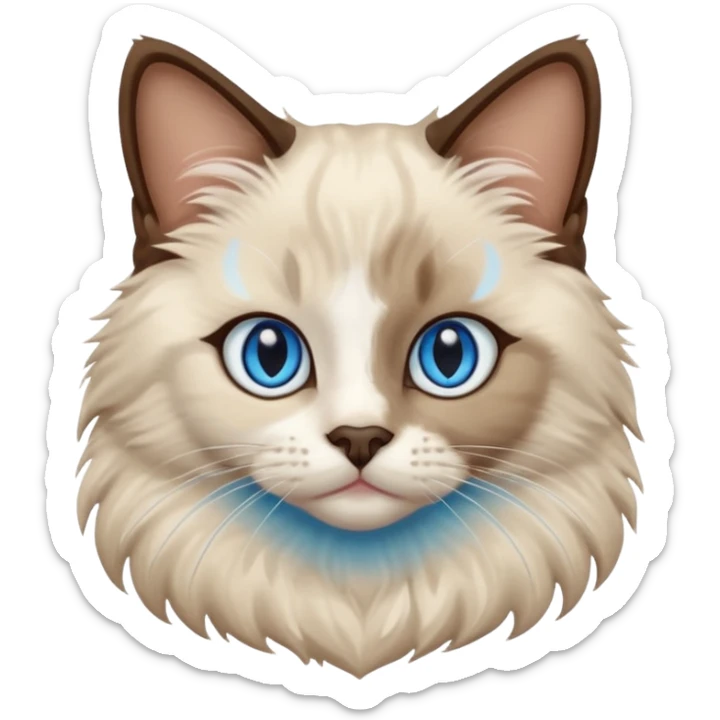 Ragdoll cat, with dark brown nose/center face area with surrounding beige fur, bright blue eyes sticker