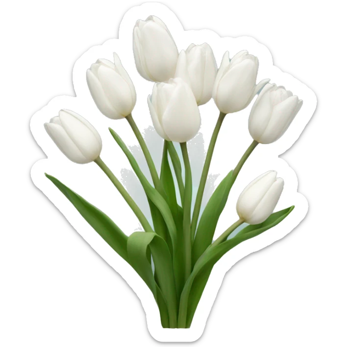 White tulips sticker