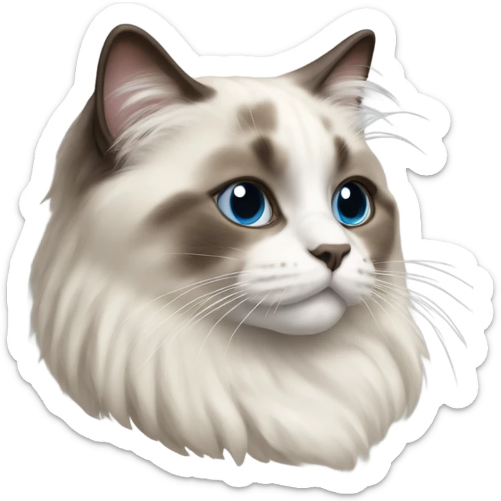 Ragdoll cat sticker