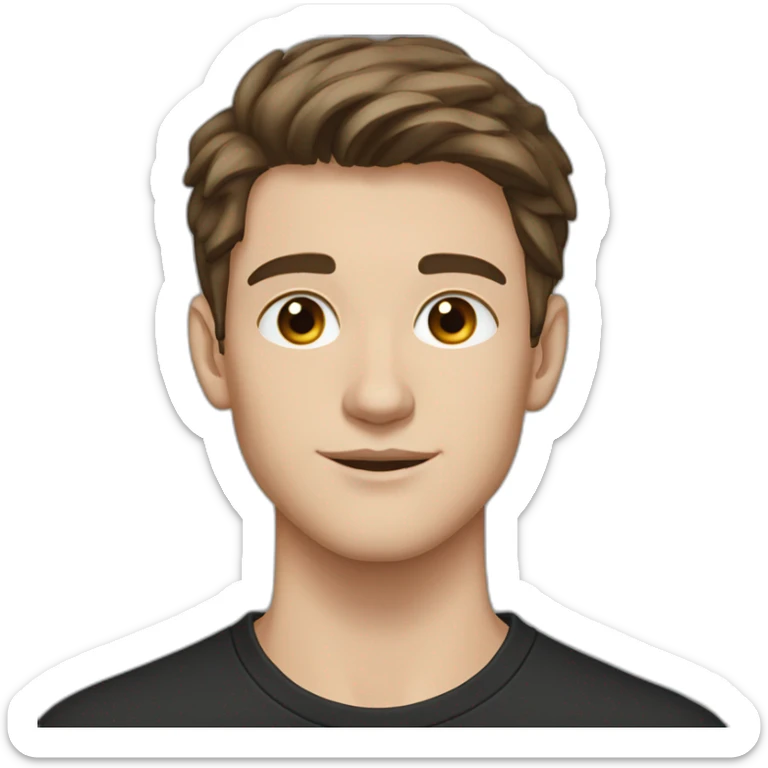 portrait of 18 years old guy, brown hair to the left, gray eyes, black shirt sticker