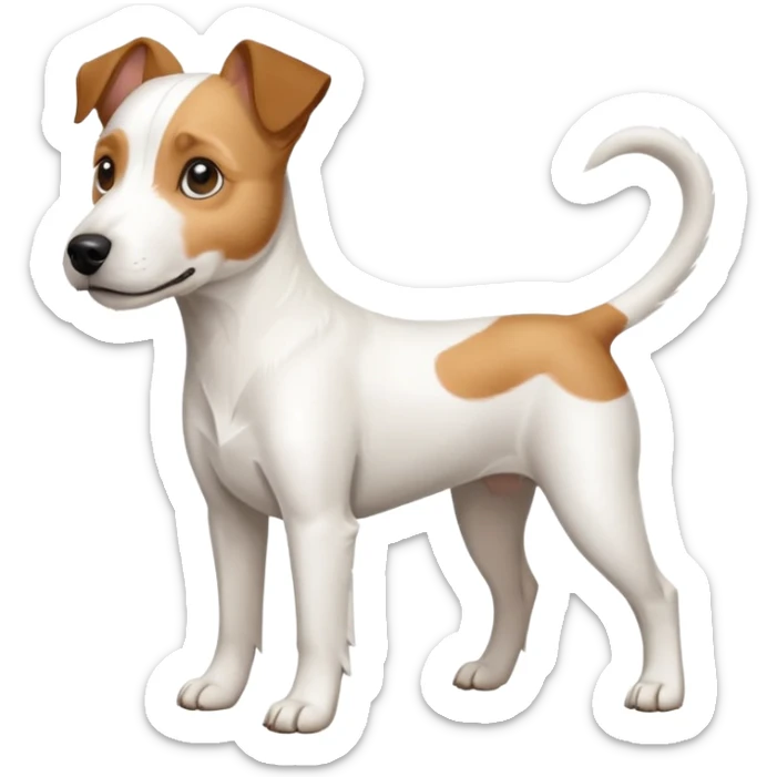 a full body white parson russell looking dog the size of a kelpie with light brown ears and a light brown patch on one eye and a large snout sticker