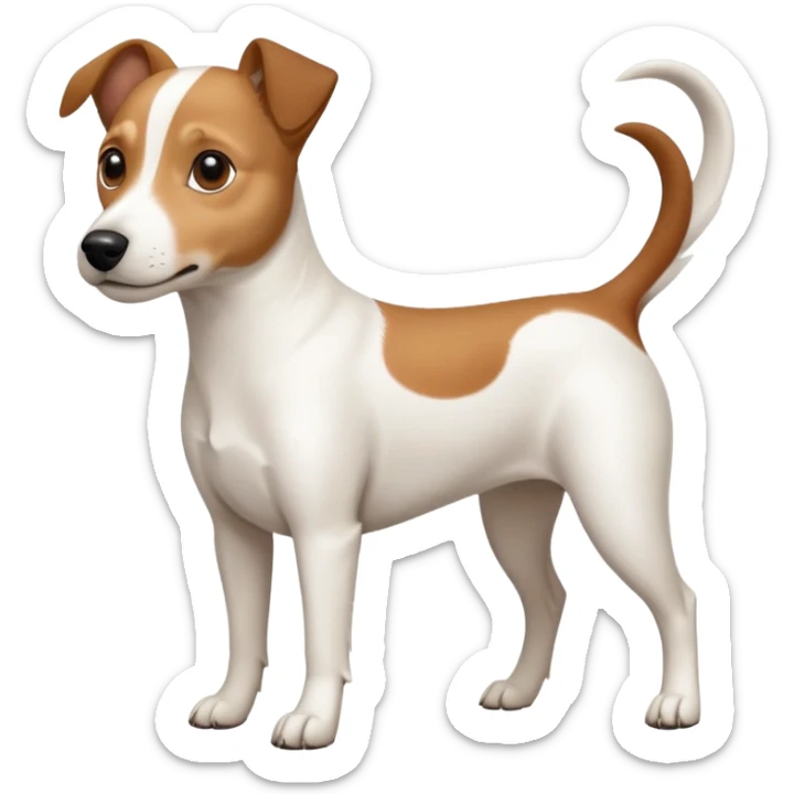 a full body white jack russel looking dog the size of a kelpie with light brown ears and a light brown patch on one eye and a large snout sticker