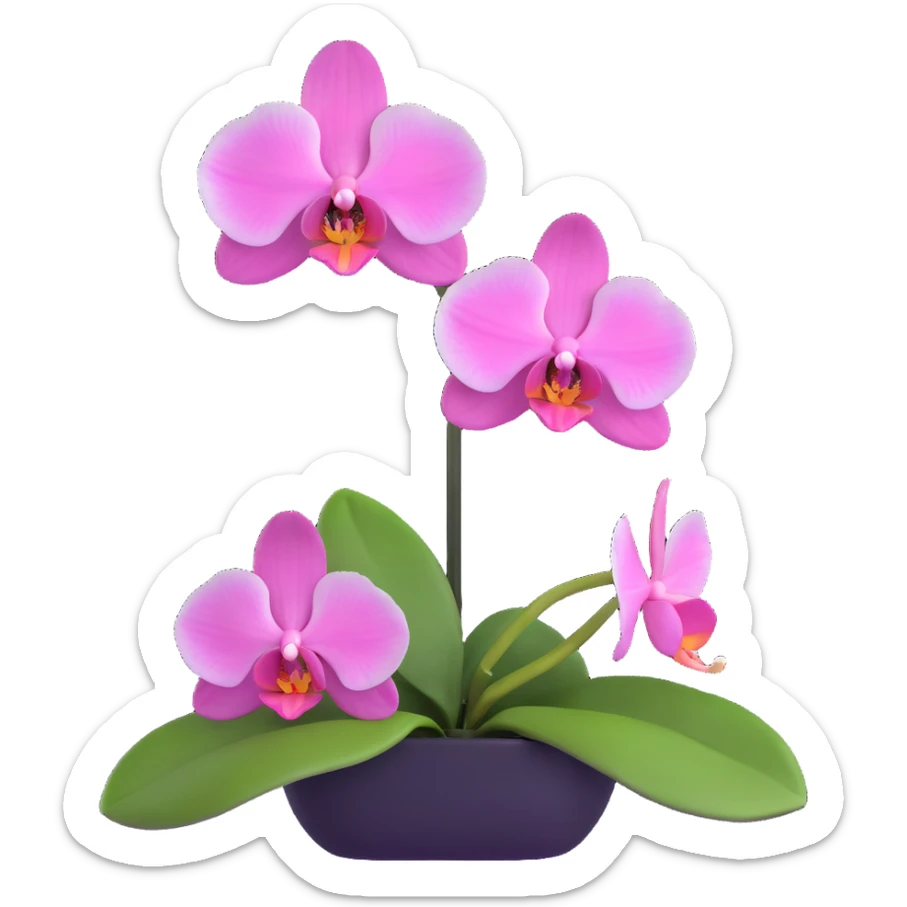 Elegant phalaenopsis moth orchid with detailed white and pink petals and green stem sticker