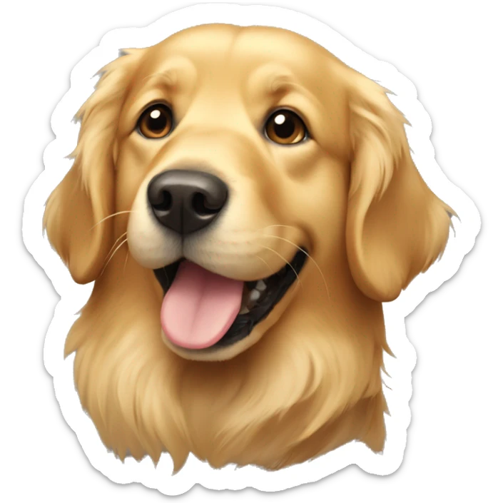 Golden retriever  sticker