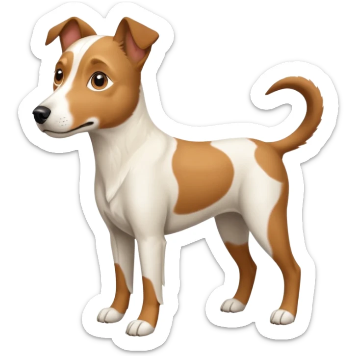 a full body large white parson russell looking dog the size of a kelpie with light brown flapped down ears and a light brown patch on one eye and a large snout sticker