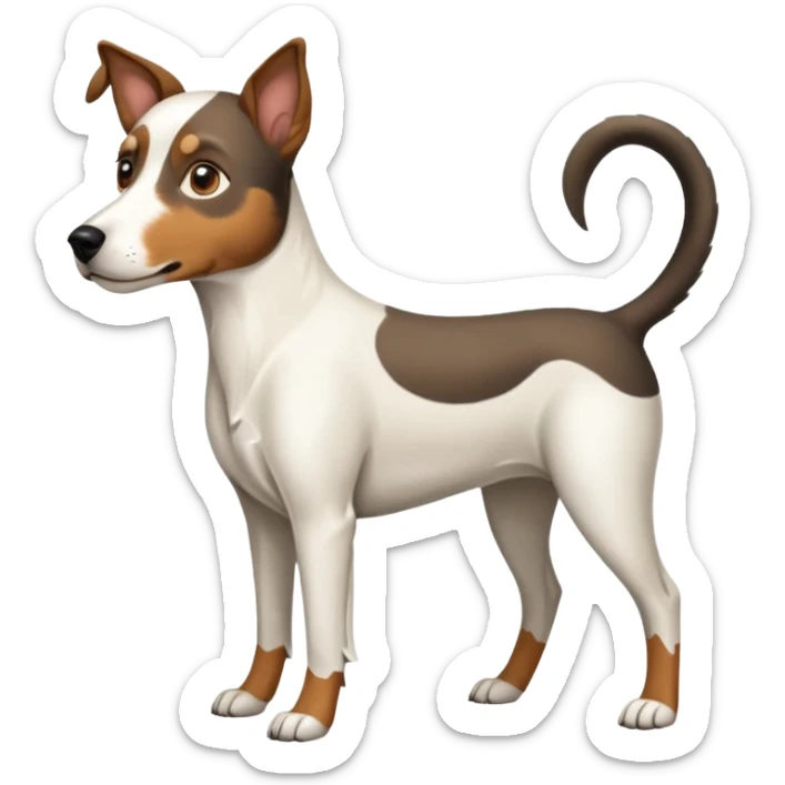 a full body large white floppy eared parson russell looking dog the size of a kelpie with light brown ears and a light brown patch on one eye and a large snout sticker