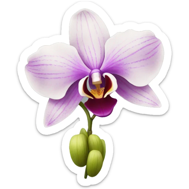 orchid sticker