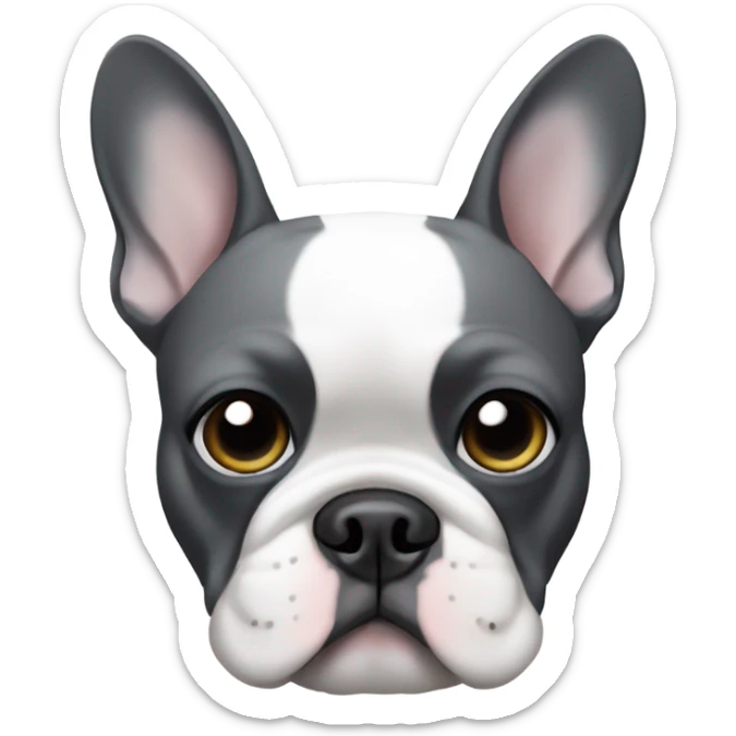 Dark grey and white French bulldog with left side of face grey and right side white but with a grey patch around right eye sticker